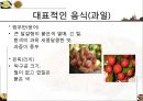 [A+] 태국에 대한 조사보고서 (문화,음식,주류,음료,식사,축제,숙박,교통,주요관광지).ppt 15페이지