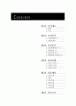 창업기획(사업계획서) - 멘토투어(멘토와 떠나는 청춘여행) 2페이지