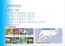 지구의 재앙 - 지구온난화 현상.ppt 17페이지