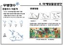 [녹색 관광상품 아이디어 공모전] 무병장수水 ‘낙동강’(부제 : 新 십장생都).ppt 19페이지