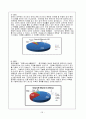 google 구글 성공전략  기업분석 20페이지