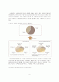 [졸업논문]소셜 네트워크 서비스 마케팅 사례 연구 - 소셜 네트워크 마케팅 사례 10페이지