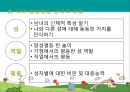 [유아교육] 양성평등에 관한 주제망, 주간교육계획안, 본시 모의수업 5페이지