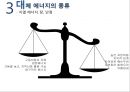 대체 에너지, 신생에너지  필요성, 전망 및 한계 12페이지