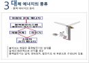 대체 에너지, 신생에너지  필요성, 전망 및 한계 17페이지