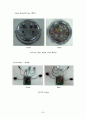 [전자공학,졸업작품,졸업논문] 아날로그 멀티 이펙터+휴대용 앰프 21페이지