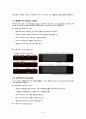 파나진회사 조사 10페이지