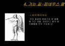 이아손과 아르고 호의 선원들 (황금가죽, 황금양털) 13페이지