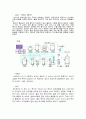 이소아밀_아세테이트_합성-사전보고서 6페이지