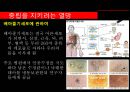 정의,낙태,줄기세포,동성혼,사회문제,이슈,마케팅,브랜드, 13페이지