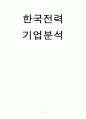 한국전력 기업분석 (요약 재무제표, 비율 분석, 신용등급, SWOT, 전력산업의 전반적 현황) 1페이지