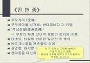 한국 중국 일본 사찰문화  43페이지