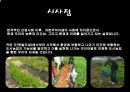 [세미나] 도시 생태 농업 - Uaban Agriculure 도시농업의 필요성 , 방안 및 사례조사.ppt 30페이지