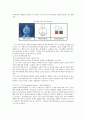 [캐릭터디자인] 캐릭터디자인의 분류와 성공사례 17페이지