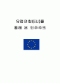 유럽연합(EU)를 통해 본 민주주의  1페이지