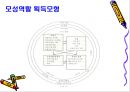 Ramona Mercer - 모성역할획득이론(Maternal Role Attainment Theory) 18페이지