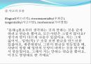 [정신간호] Case study(임상) - DSM-IV-TR, 감각지각장애(환청).ppt 13페이지