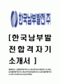 [한국남부발전-공채합격합격자기소개서]한국남부발전자기소개서,남부발전합격자기소개서,한국남부발전자소서,남부발전합격자소서,자기소개서,자소서,입사지원서 1페이지