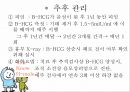 H-mole , 포상기태 .ppt 18페이지