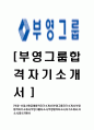 [부영-최신공채합격 자기소개서] 부영그룹자기소개서,부영합격자기소개서,부영그룹자소서,부영합격자소서,자기소개서,자소서,입사지원서 1페이지