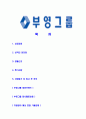 [부영-최신공채합격 자기소개서] 부영그룹자기소개서,부영합격자기소개서,부영그룹자소서,부영합격자소서,자기소개서,자소서,입사지원서 2페이지
