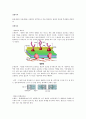 [아주대-생물학실험] (결과) 삼투와 물질이동 2페이지