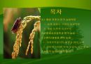 한국의 농업과 향후 발전방안.PPT자료 2페이지
