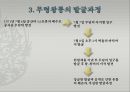 ‘600여년 백제역사의 집합체 무령왕릉’.ppt 6페이지