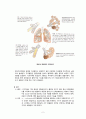 [간호학 임상 CASE] 만성 폐쇄성 폐질환 (Chronic obstructive pulmonary disease : COPD) 2페이지