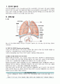 아동 Pneumonia(폐렴) 케이스 3페이지