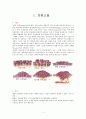 [성인]폐암 CASE (lung cancer CASE) 1페이지