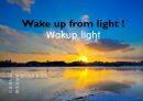 벤처창업 및 경영 수업 과제 사업 아이디어 : wake up light (알람 대신 빛으로 잠을 깨우는 것).ppt 1페이지