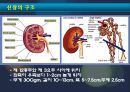 만성 신부전 환자(CRF) 진단, 간호, 투석.ppt 3페이지