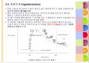 곡류와 밀가루의 조리(The principle of Cook) 9페이지