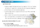 채소 및 과일류(Vegetable & Fruit)의 조리.ppt 36페이지