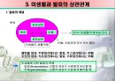 식품속 미생물 & 발효의 이해.ppt 6페이지