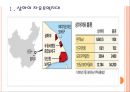 [상하이경제] 상하이(上海) 자유뮤역지대 추진에 따른 영향 보고서.PPT자료 3페이지