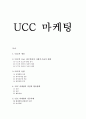 UCC를 통한 마케팅사례(피자헛,하이네켄)분석및 하이트맥주의 UCC마케팅 전략제안 1페이지