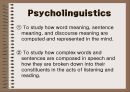 [영어문법/요약정리] 원서`Contemporary Linguistic Analysis`의 Chapter 12. Psycholinguistics (심리언어학,언어심리학).ppt 3페이지