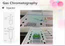 [A+] 기체크로마토그래피(Gas Chromatography) 조사보고서, 크로마토그래피 용어, 이동상, 정지상, 기체 크로마토그래피의 원리구성기기운반기체 불꽃이온화열전도도전자포획불꽃광도법 검출기.ppt 12페이지