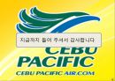 세부퍼시픽 항공 (Cebu pacific).ppt 23페이지