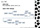 우유 및 유제품의 조리.ppt 21페이지