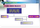 식생활과 문화의 이해 13페이지