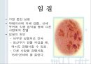 청년기의 성행동과 문제 [성적발달] 65페이지