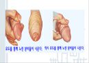 청년기의 성행동과 문제 [성적발달] 68페이지