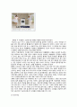 삼성 하우젠의 버블과 LG 트롬세탁기 광고전략 비교 12페이지