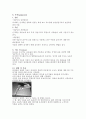 스포츠 선수의 천장관절(Sacroiliac Joint)의 전반적인 이해 및 손상,치료,재활 6페이지