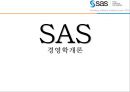 SAS 기업분석 1페이지