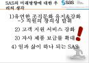 SAS 기업분석 12페이지