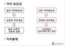인간행동이론과 사회복지실천 - 제7장 아동기.ppt 11페이지